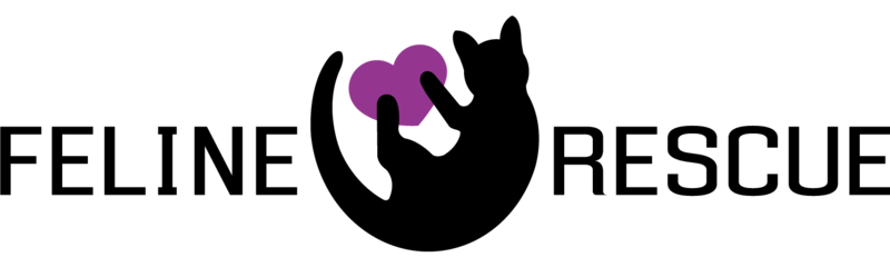 Feline Rescue Web Store